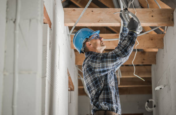 Best Electrical Troubleshooting Services  in La Blanca, TX